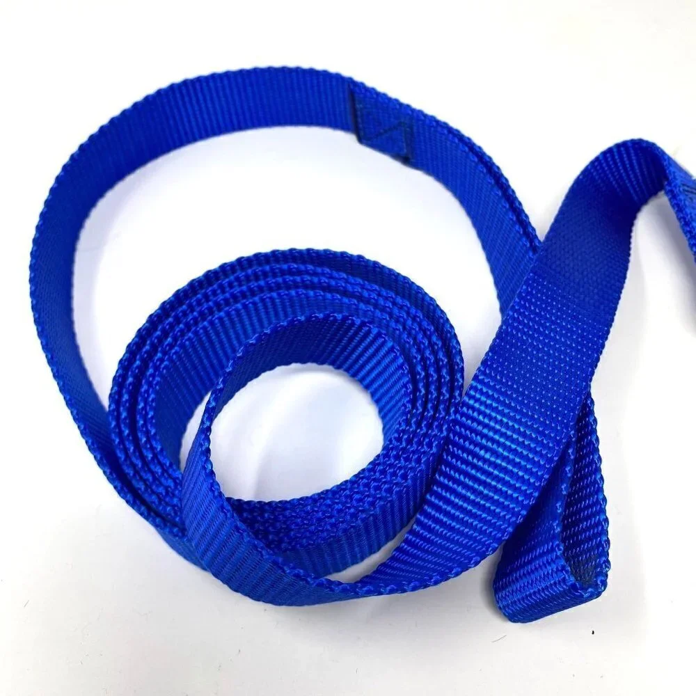 NWT Guardian Gear Dog Leash Lead Nylon Blue 6' x 1